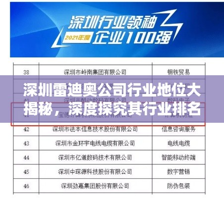 深圳雷迪奥公司行业地位大揭秘，深度探究其行业排名