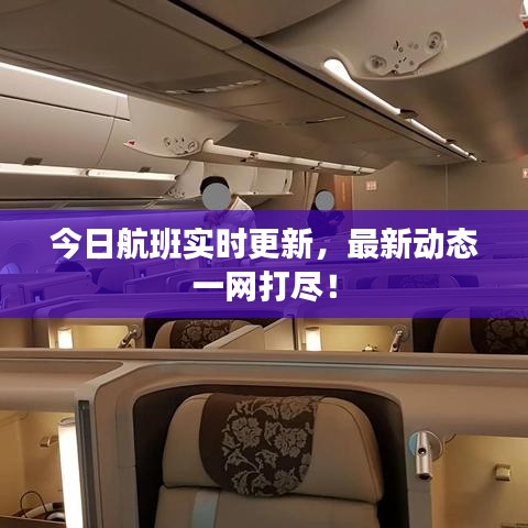 今日航班实时更新，最新动态一网打尽！