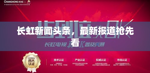 2025年6月5日 第2页