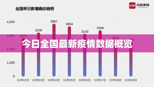 今日全国最新疫情数据概览