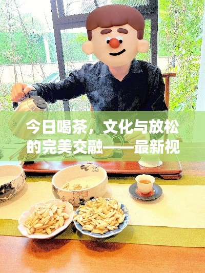 今日喝茶，文化与放松的完美交融——最新视频分享体验