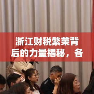 浙江财税繁荣背后的力量揭秘，各地财税排名前十揭晓！