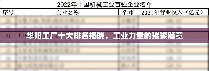 华阳工厂十大排名揭晓，工业力量的璀璨篇章