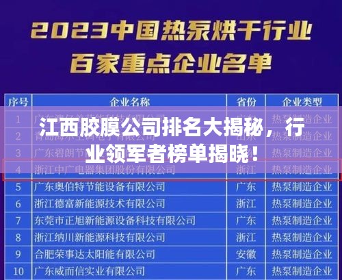 江西胶膜公司排名大揭秘，行业领军者榜单揭晓！