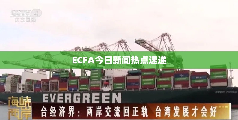 ECFA今日新闻热点速递