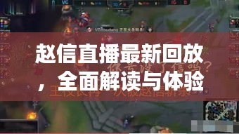 赵信直播最新回放，全面解读与体验，在线视频观看