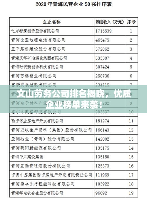 文山劳务公司排名揭晓，优质企业榜单来袭！