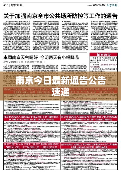 南京今日最新通告公告速递