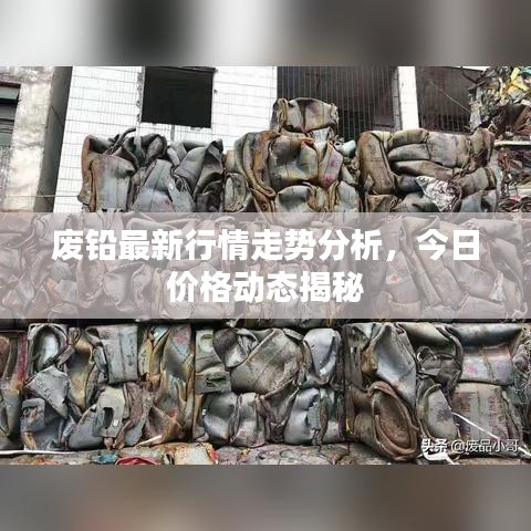 废铅最新行情走势分析，今日价格动态揭秘
