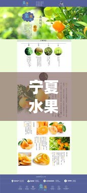 宁夏水果网店TOP10榜单揭晓,新鲜美味果实盛宴不容错过