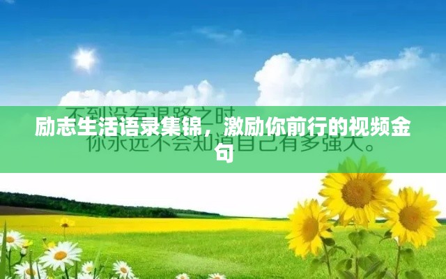 励志生活语录集锦，激励你前行的视频金句