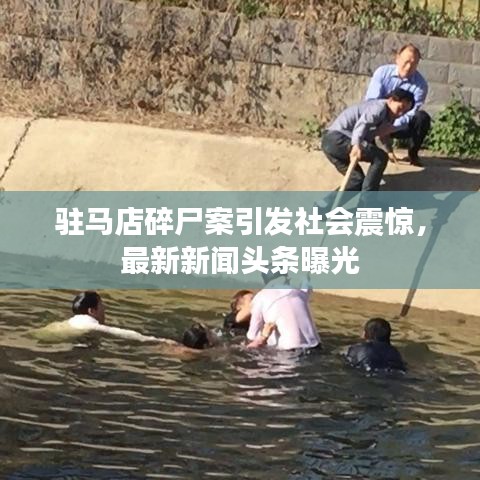 网站案例 第21页