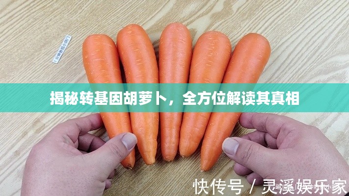 揭秘转基因胡萝卜，全方位解读其真相
