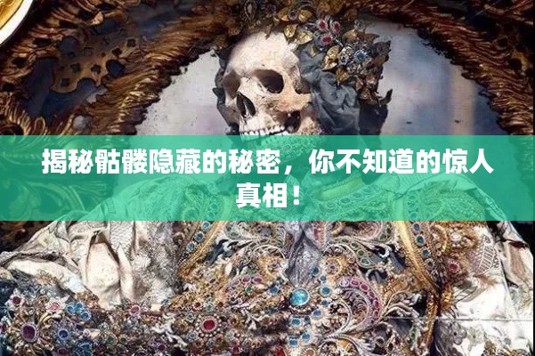 揭秘骷髅隐藏的秘密,你不知道的惊人真相!