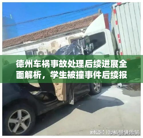 德州车祸事故处理后续进展全面解析，学生被撞事件后续报道