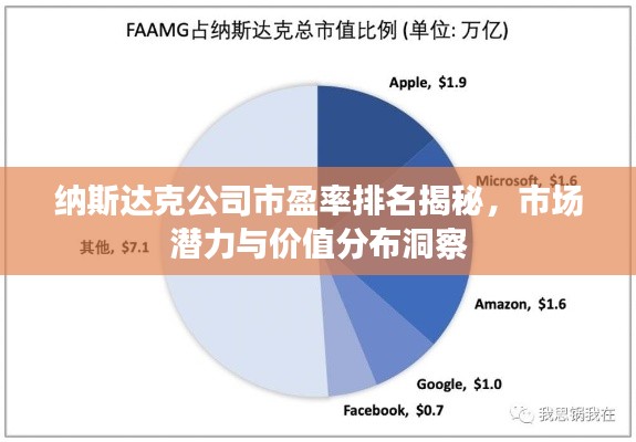 纳斯达克公司市盈率排名揭秘，市场潜力与价值分布洞察
