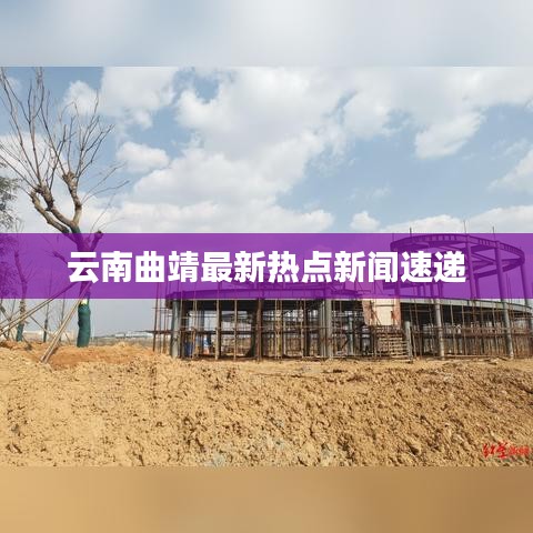 云南曲靖最新热点新闻速递