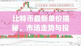 比特币最新单价揭秘，市场走势与投资者心态分析
