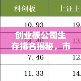 创业板公司生存排名揭秘，市场生存能力的秘密榜单揭晓！