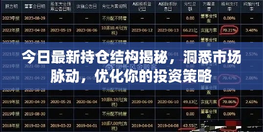 今日最新持仓结构揭秘，洞悉市场脉动，优化你的投资策略