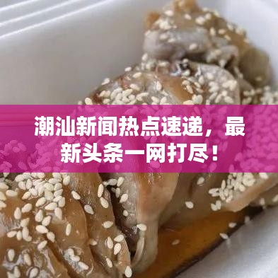 潮汕新闻热点速递，最新头条一网打尽！