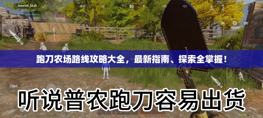 跑刀农场路线攻略大全，最新指南、探索全掌握！