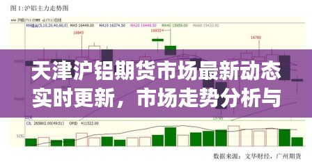 熊经鸟伸