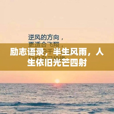 2025年8月11日