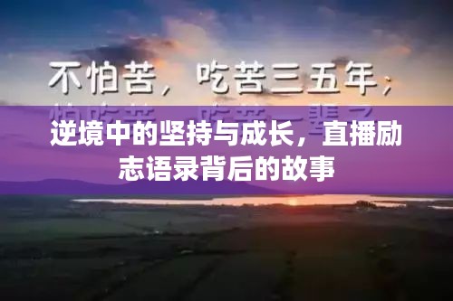 2025年8月12日