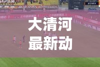 嘴是两张皮