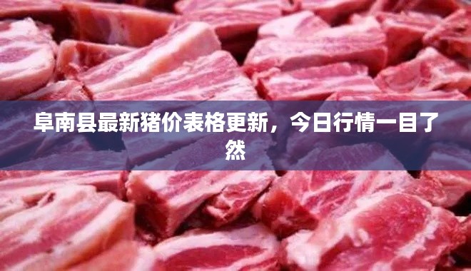 阜南县最新猪价表格更新，今日行情一目了然