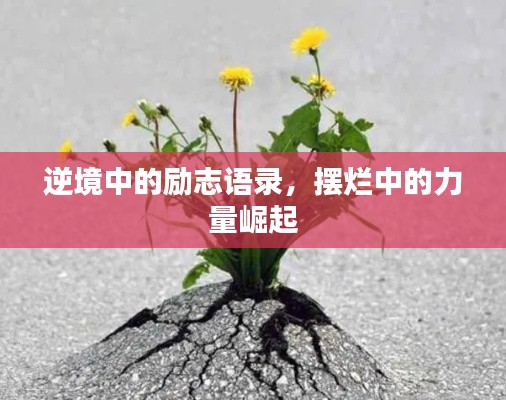 逆境中的励志语录，摆烂中的力量崛起