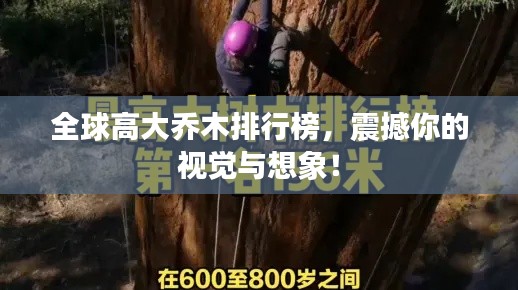 2025年8月 第7页