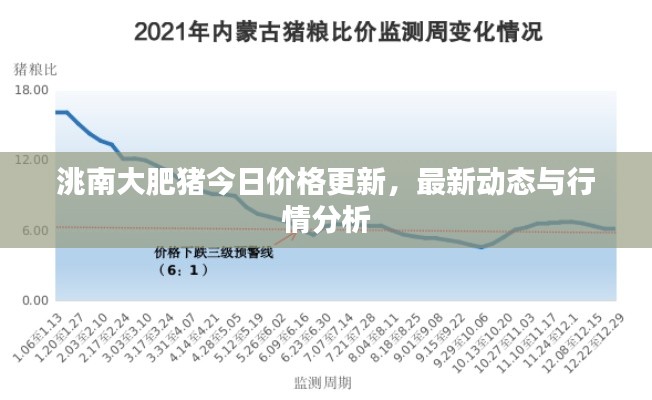 张牙舞爪