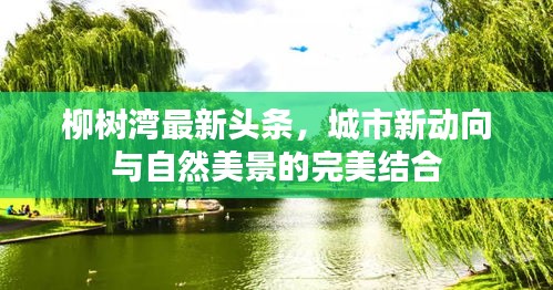 柳树湾最新头条，城市新动向与自然美景的完美结合