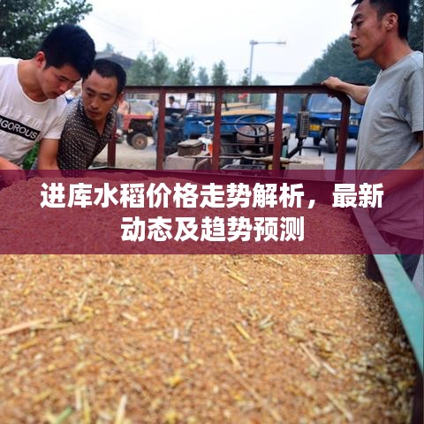 关于我们 第3页