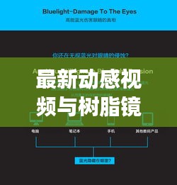 最新动感视频与树脂镜片价格揭秘，市场动态全面解析