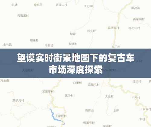 望谟实时街景地图下的复古车市场深度探索