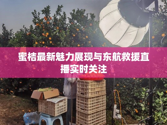 张王李赵