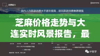 芝麻价格走势与大连实时风景报告，最新行情深度解析（2018版）