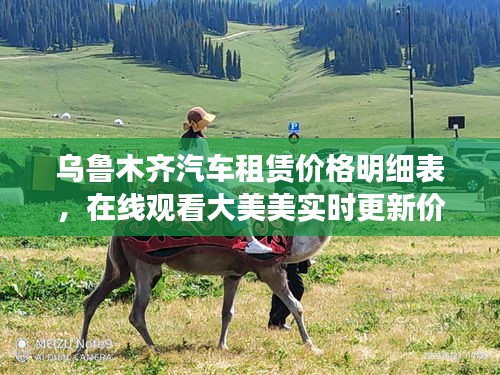 乌鲁木齐汽车租赁价格明细表，在线观看大美美实时更新价格