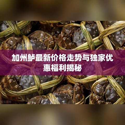 加州鲈最新价格走势与独家优惠福利揭秘