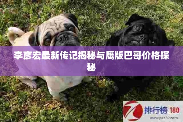 2025年9月4日 第2页