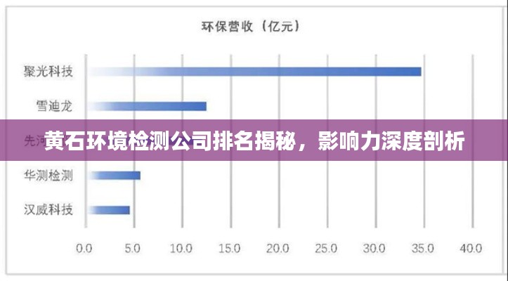 黄石环境检测公司排名揭秘，影响力深度剖析