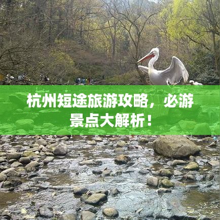 杭州短途旅游攻略，必游景点大解析！