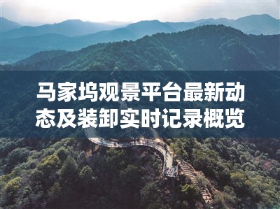 马家坞观景平台最新动态及装卸实时记录概览