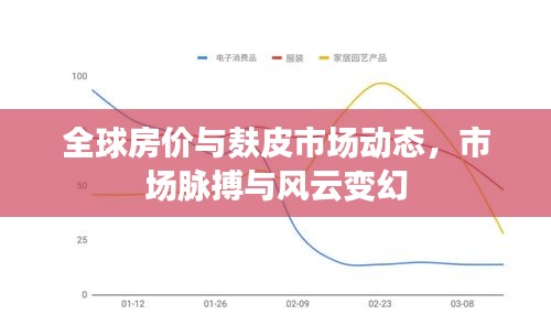 全球房价与麸皮市场动态,市场脉搏与风云变幻