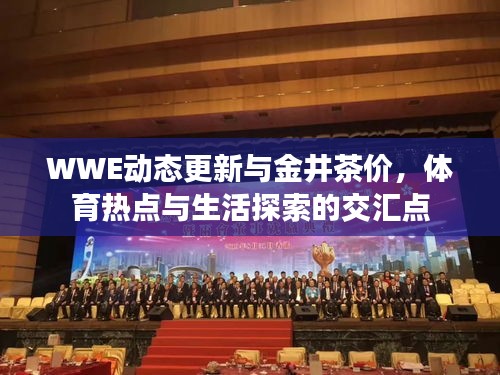 WWE动态更新与金井茶价,体育热点与生活探索的交汇点