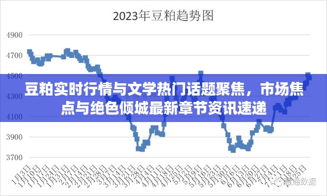 豆粕实时行情与文学热门话题聚焦,市场焦点与绝色倾城最新章节资讯速递