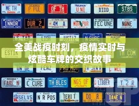 全美战疫时刻,疫情实时与炫酷车牌的交织故事